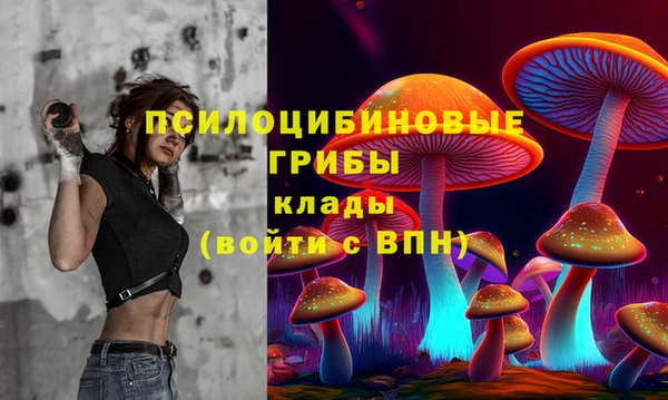 ешки Надым