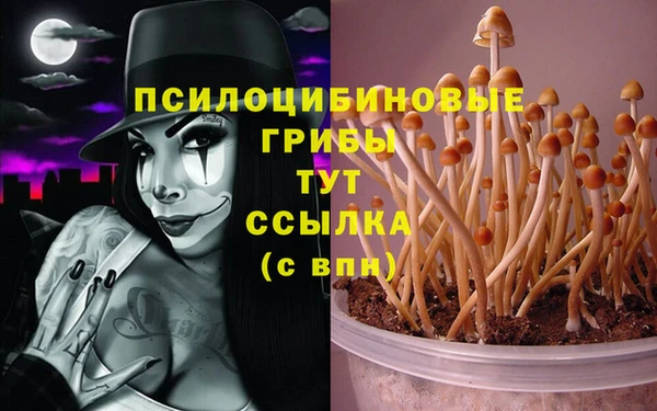 дмт Навашино