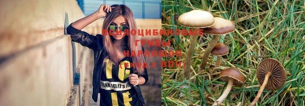 ешки Надым