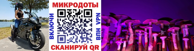 Галлюциногенные грибы Magic Shrooms  где купить наркотик  Севск 